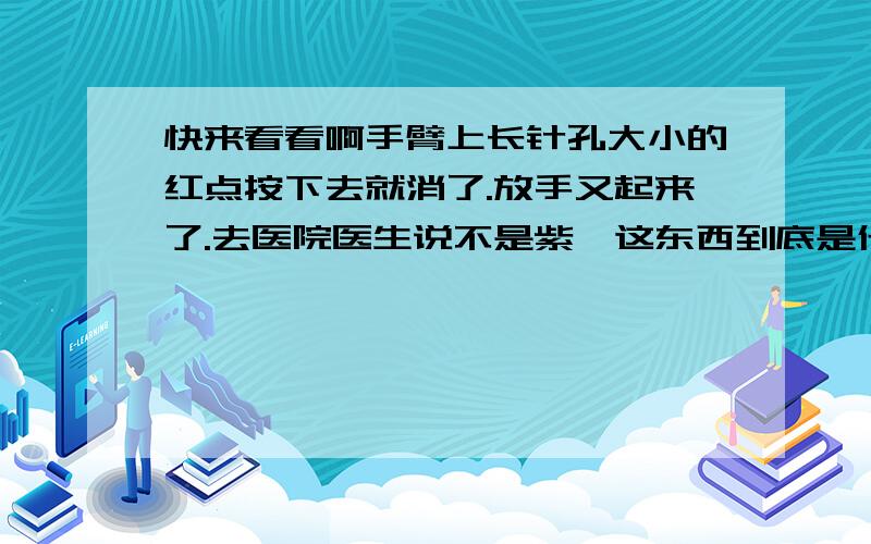 快来看看啊手臂上长针孔大小的红点按下去就消了.放手又起来了.去医院医生说不是紫癜这东西到底是什么啊