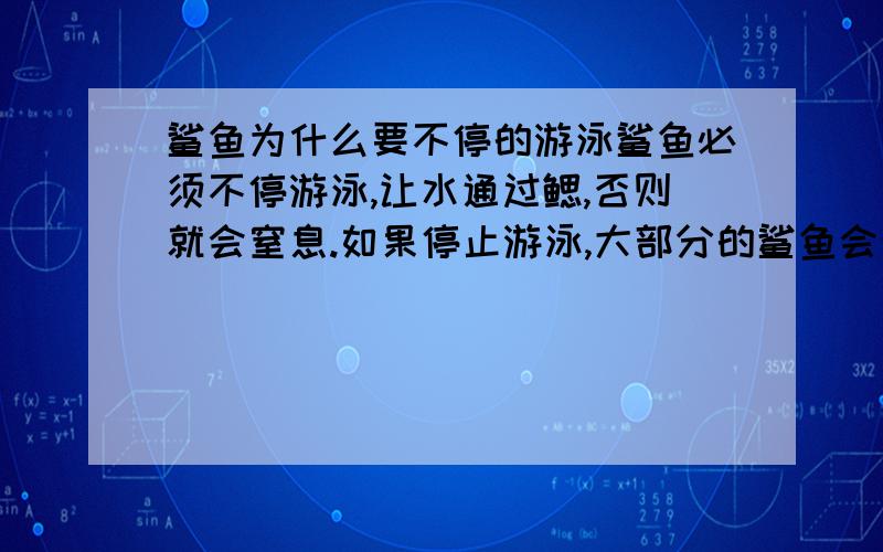 鲨鱼为什么要不停的游泳鲨鱼必须不停游泳,让水通过鳃,否则就会窒息.如果停止游泳,大部分的鲨鱼会往下沈.为了减轻在水中的重量,鲨鱼的肝内具有大量的油. 一：运动产生气泡.获得氧气 二