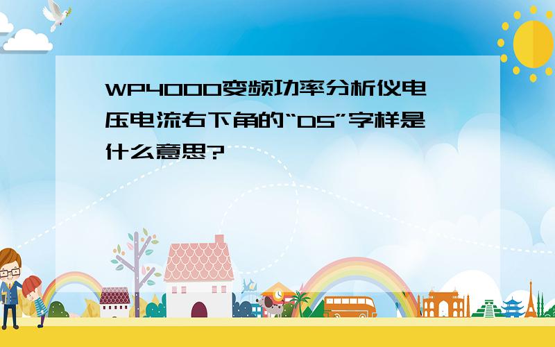 WP4000变频功率分析仪电压电流右下角的“D5”字样是什么意思?