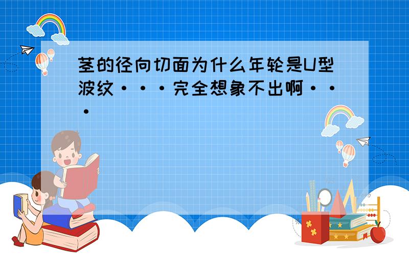 茎的径向切面为什么年轮是U型波纹···完全想象不出啊···