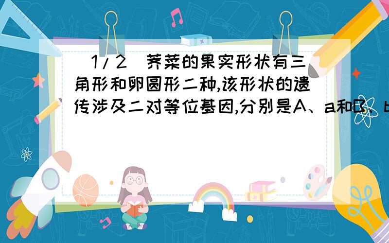 (1/2)荠菜的果实形状有三角形和卵圆形二种,该形状的遗传涉及二对等位基因,分别是A、a和B、b表示.为...(1/2)荠菜的果实形状有三角形和卵圆形二种,该形状的遗传涉及二对等位基因,分别是A、a