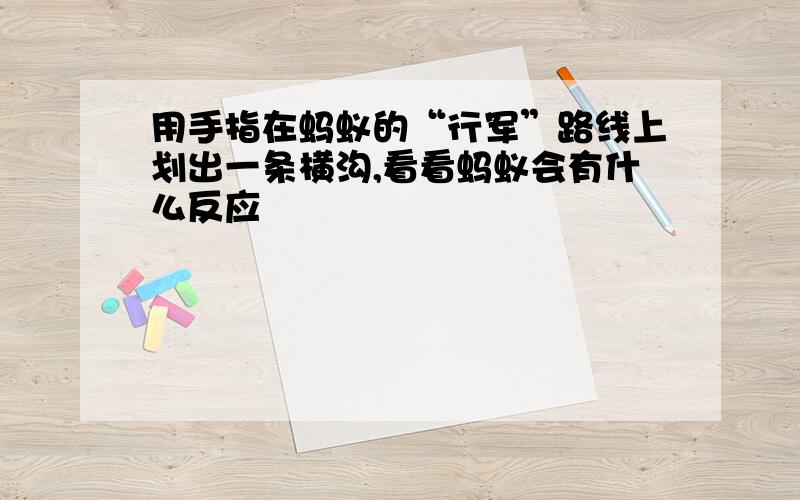 用手指在蚂蚁的“行军”路线上划出一条横沟,看看蚂蚁会有什么反应