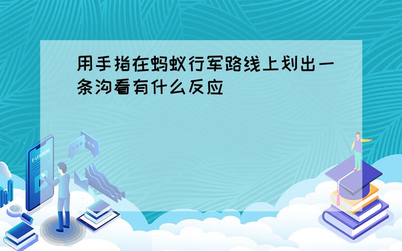 用手指在蚂蚁行军路线上划出一条沟看有什么反应