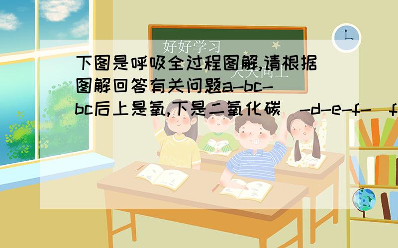 下图是呼吸全过程图解,请根据图解回答有关问题a-bc-（bc后上是氧,下是二氧化碳）-d-e-f-(f后的-上是氧,下是二氧化碳）-g1.图中a-g所表示的内容分别是?2.图中a-c表示的是（）是（）的结果；c-d