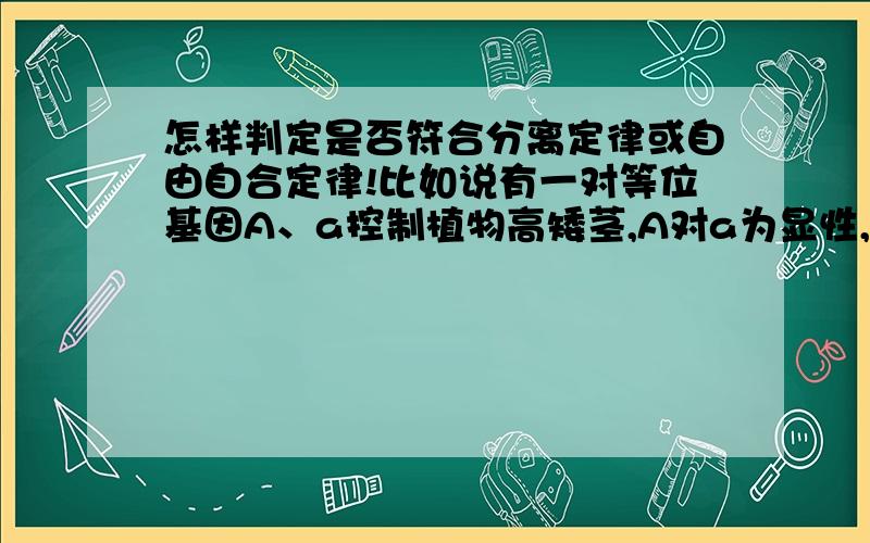 怎样判定是否符合分离定律或自由自合定律!比如说有一对等位基因A、a控制植物高矮茎,A对a为显性,如有一个高茎纯合子和低茎纯合子杂交,如果F1代显隐比为1:1,则符合分离定律,F1代再杂交,F2