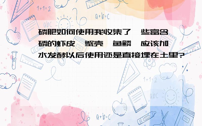 磷肥如何使用我收集了一些富含磷的虾皮、蟹壳、鱼鳞,应该加水发酵以后使用还是直接埋在土里?