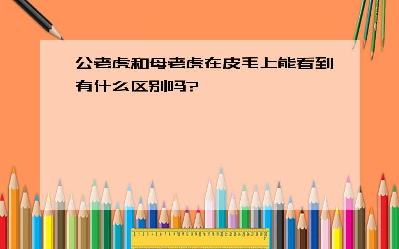 公老虎和母老虎在皮毛上能看到有什么区别吗?