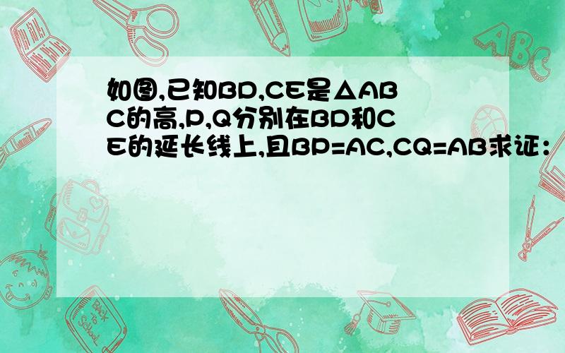 如图,已知BD,CE是△ABC的高,P,Q分别在BD和CE的延长线上,且BP=AC,CQ=AB求证：AP=AQ