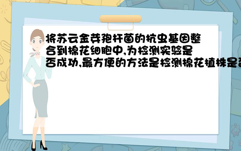 将苏云金芽孢杆菌的抗虫基因整合到棉花细胞中,为检测实验是否成功,最方便的方法是检测棉花植株是否有A．抗虫基因 B．抗虫基因的产物 C．新的细胞核 D．相应性状