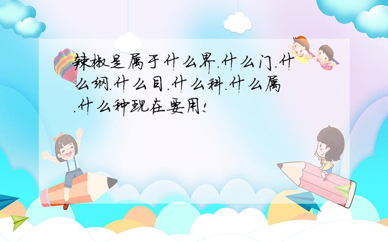 辣椒是属于什么界.什么门.什么纲.什么目.什么科.什么属.什么种现在要用!