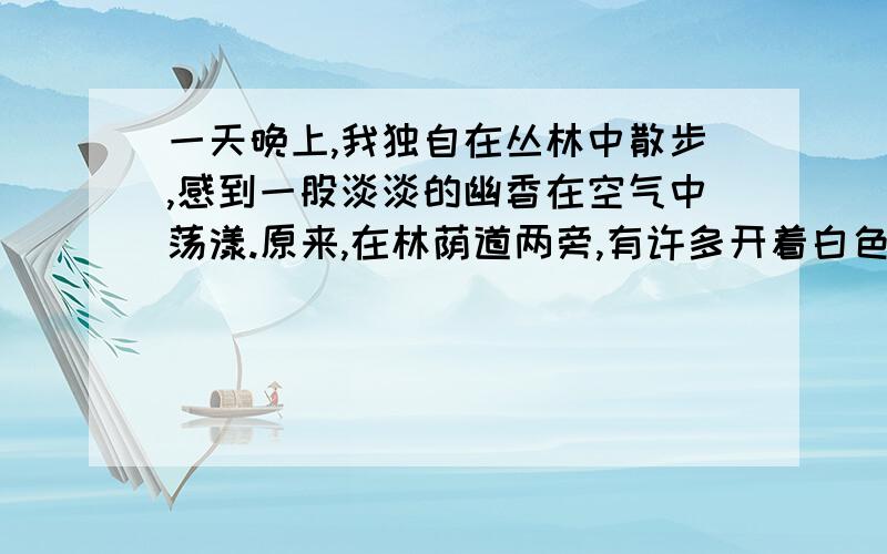 一天晚上,我独自在丛林中散步,感到一股淡淡的幽香在空气中荡漾.原来,在林荫道两旁,有许多开着白色花朵的高大树木,那一阵阵幽香就是从这儿散发出来的.＿＿＿＿＿＿＿＿＿＿＿＿＿＿＿