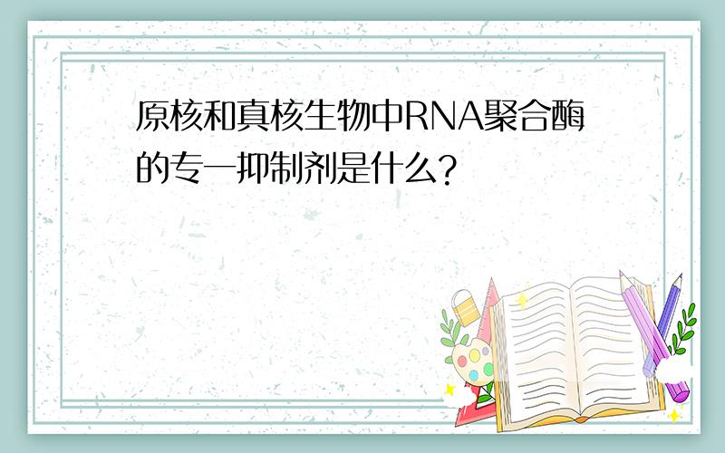 原核和真核生物中RNA聚合酶的专一抑制剂是什么?