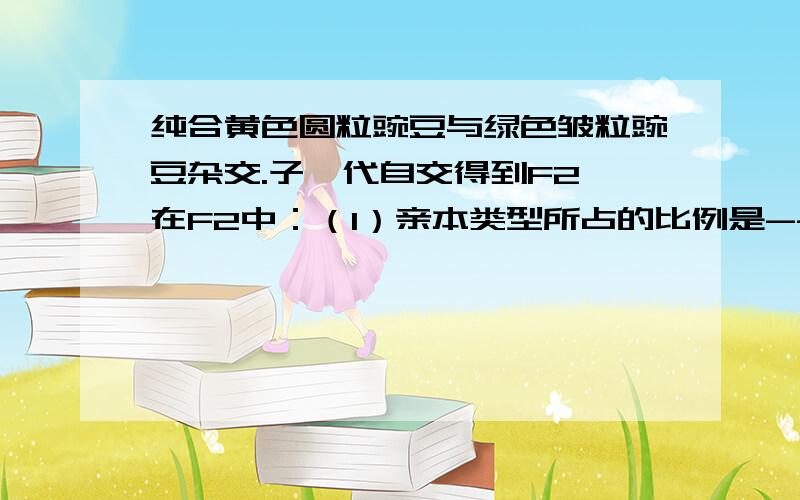 纯合黄色圆粒豌豆与绿色皱粒豌豆杂交.子一代自交得到F2,在F2中：（1）亲本类型所占的比例是---------（2）重组类型所占的比例是---------,其中纯合子占--------,杂合子占--------.