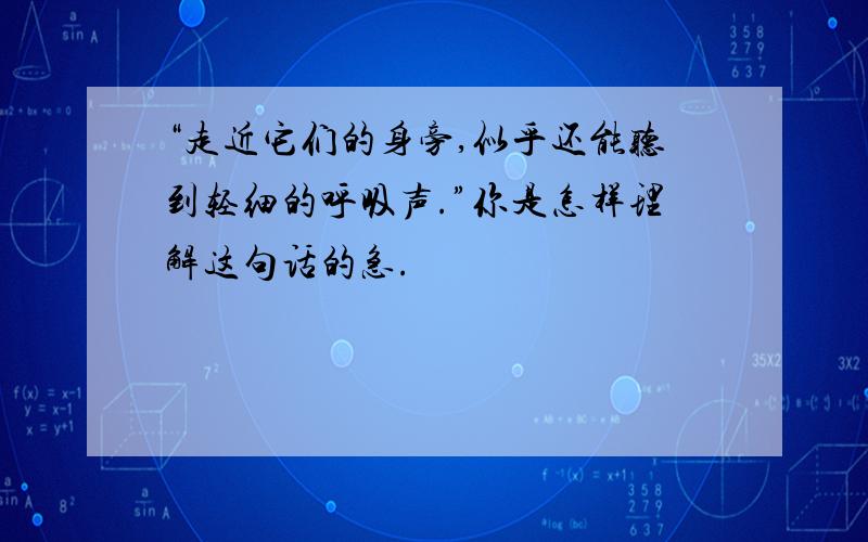 “走近它们的身旁,似乎还能听到轻细的呼吸声.”你是怎样理解这句话的急.