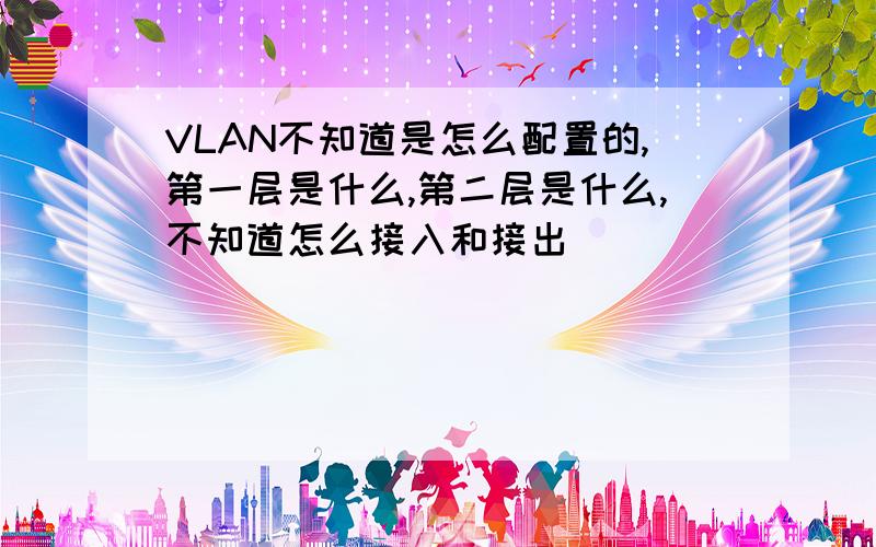 VLAN不知道是怎么配置的,第一层是什么,第二层是什么,不知道怎么接入和接出