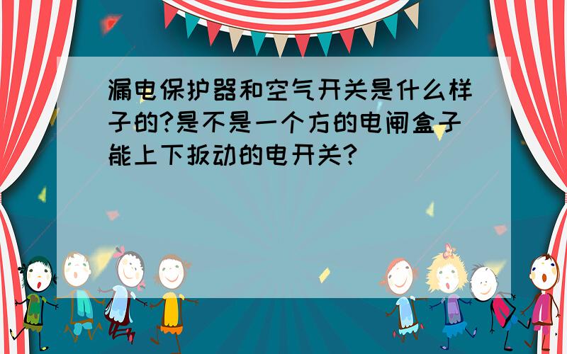 漏电保护器和空气开关是什么样子的?是不是一个方的电闸盒子能上下扳动的电开关?