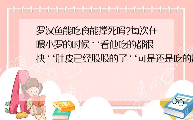 罗汉鱼能吃食能撑死吗?每次在喂小罗的时候‘‘看他吃的都很快‘‘肚皮已经股股的了‘‘可是还是吃的那么香‘‘‘害怕啊‘‘‘能不能为了喂它 而称死呢?