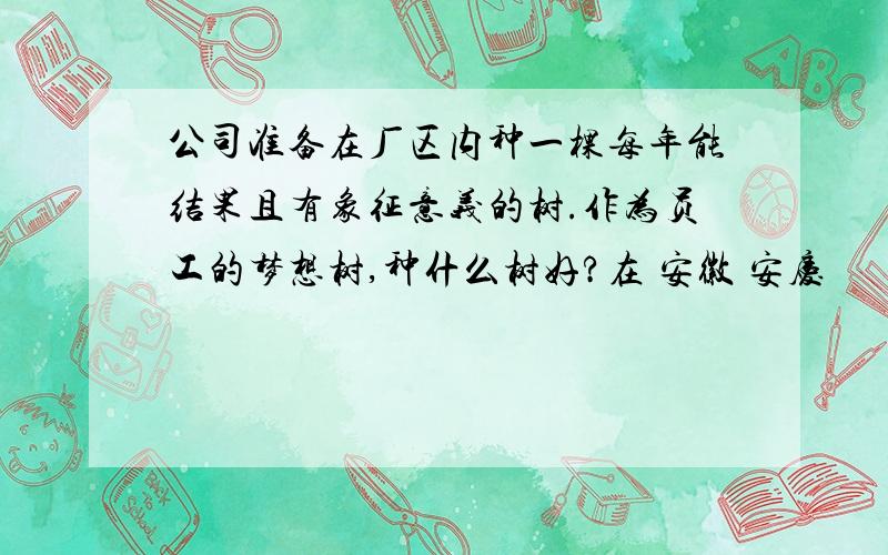 公司准备在厂区内种一棵每年能结果且有象征意义的树.作为员工的梦想树,种什么树好?在 安徽 安庆