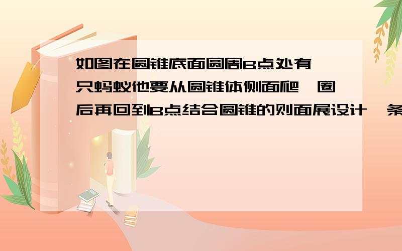 如图在圆锥底面圆周B点处有一只蚂蚁他要从圆锥体侧面爬一圈后再回到B点结合圆锥的则面展设计一条最短的路