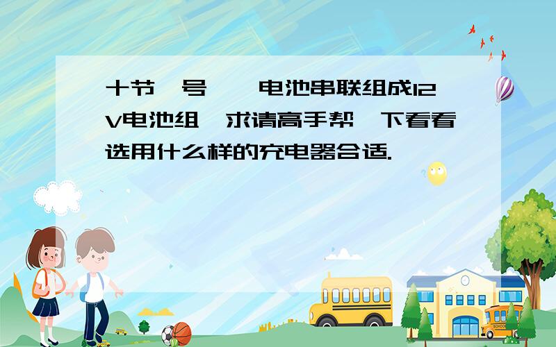 十节一号镍镉电池串联组成12V电池组,求请高手帮一下看看选用什么样的充电器合适.