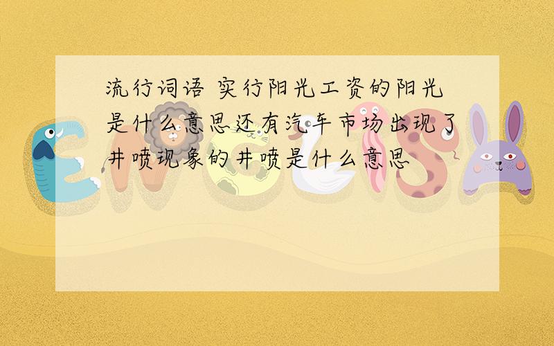 流行词语 实行阳光工资的阳光是什么意思还有汽车市场出现了井喷现象的井喷是什么意思