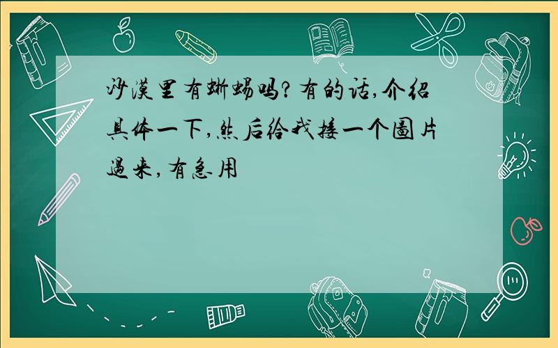 沙漠里有蜥蜴吗?有的话,介绍具体一下,然后给我接一个图片过来,有急用