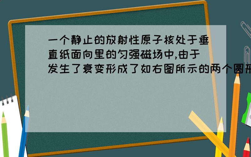 一个静止的放射性原子核处于垂直纸面向里的匀强磁场中,由于发生了衰变形成了如右图所示的两个圆形径迹,两圆半径比为1：16则（ ）A该原子核发生了α衰变 B反冲核沿小圆作顺时针方向运