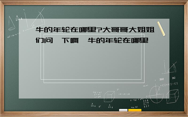 牛的年轮在哪里?大哥哥大姐姐们问一下啊,牛的年轮在哪里,