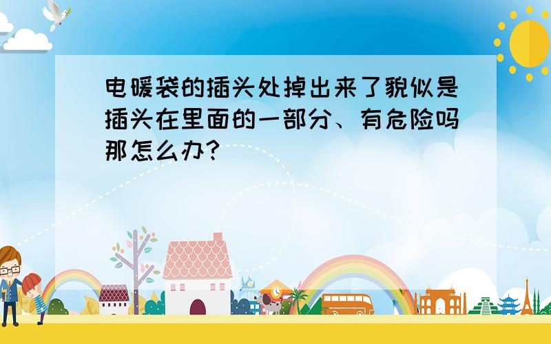 电暖袋的插头处掉出来了貌似是插头在里面的一部分、有危险吗那怎么办?