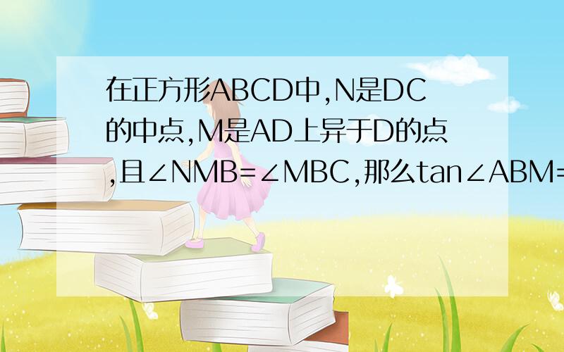 在正方形ABCD中,N是DC的中点,M是AD上异于D的点,且∠NMB=∠MBC,那么tan∠ABM=（ ）