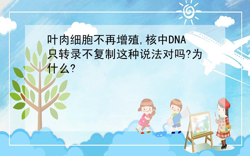 叶肉细胞不再增殖,核中DNA只转录不复制这种说法对吗?为什么?