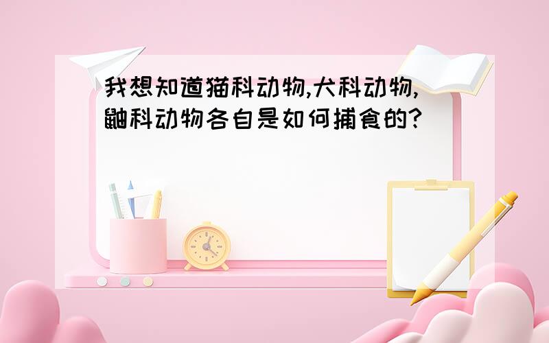 我想知道猫科动物,犬科动物,鼬科动物各自是如何捕食的?