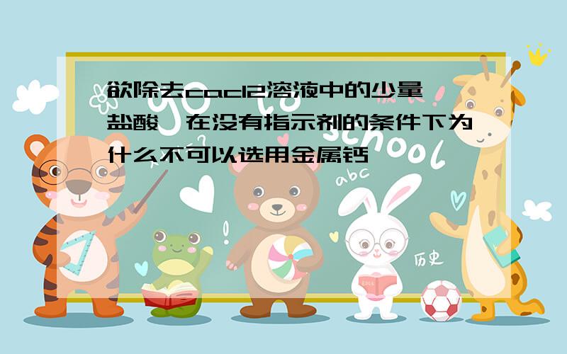 欲除去cacl2溶液中的少量盐酸,在没有指示剂的条件下为什么不可以选用金属钙