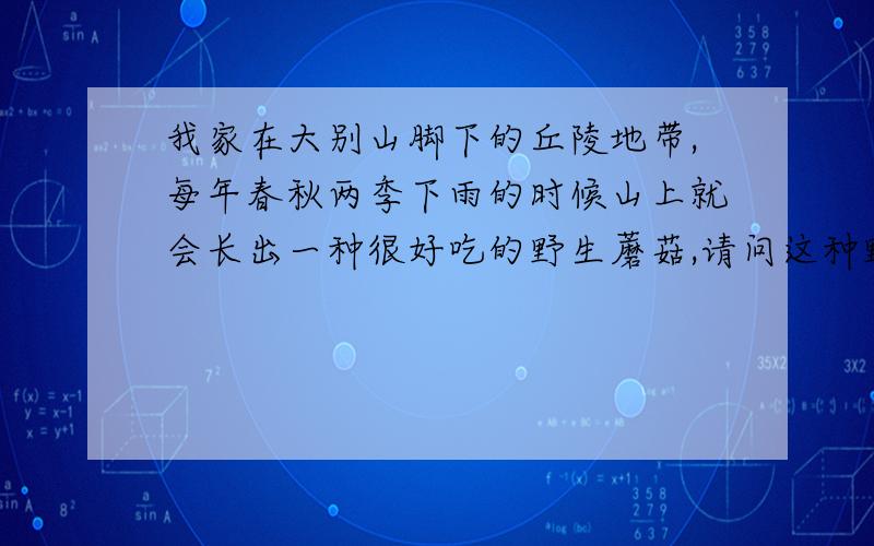 我家在大别山脚下的丘陵地带,每年春秋两季下雨的时候山上就会长出一种很好吃的野生蘑菇,请问这种野生蘑菇可以人工种植吗?