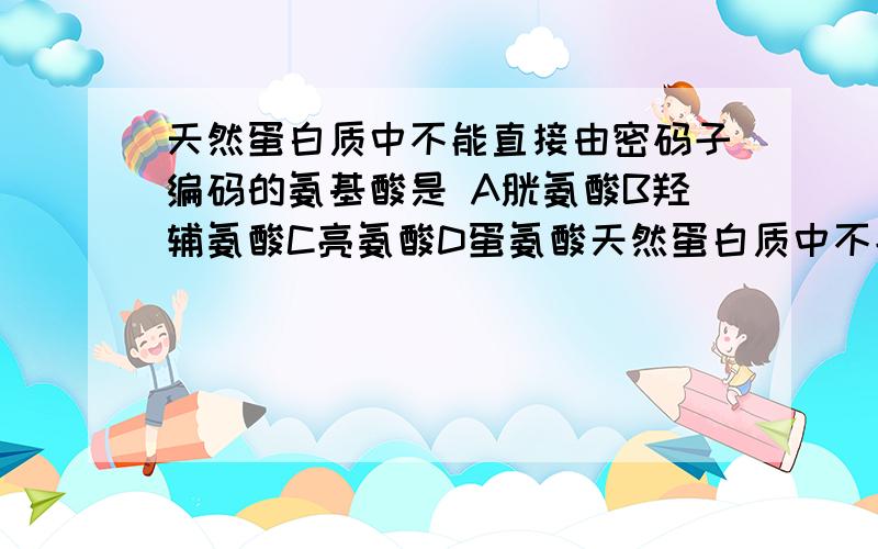 天然蛋白质中不能直接由密码子编码的氨基酸是 A胱氨酸B羟辅氨酸C亮氨酸D蛋氨酸天然蛋白质中不能直接由密码子编码的氨基酸是 A胱氨酸B羟辅氨酸C亮氨酸D蛋氨酸