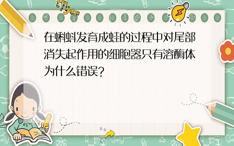 在蝌蚪发育成蛙的过程中对尾部消失起作用的细胞器只有溶酶体为什么错误?