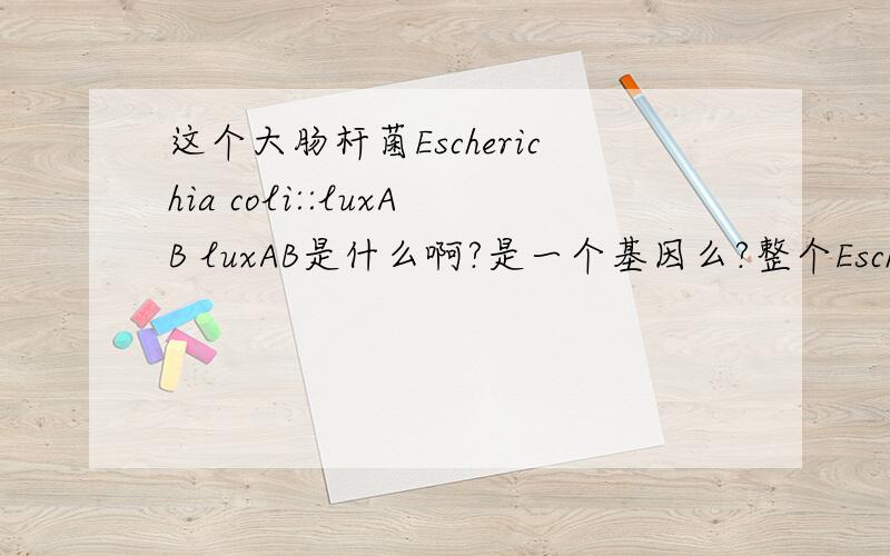 这个大肠杆菌Escherichia coli::luxAB luxAB是什么啊?是一个基因么?整个Escherichia coli::luxAB 我知道strain好像是一个菌的菌株品系~