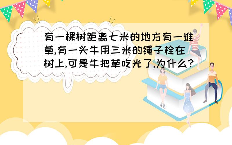 有一棵树距离七米的地方有一堆草,有一头牛用三米的绳子栓在树上,可是牛把草吃光了,为什么?