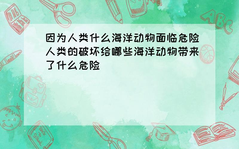 因为人类什么海洋动物面临危险人类的破坏给哪些海洋动物带来了什么危险