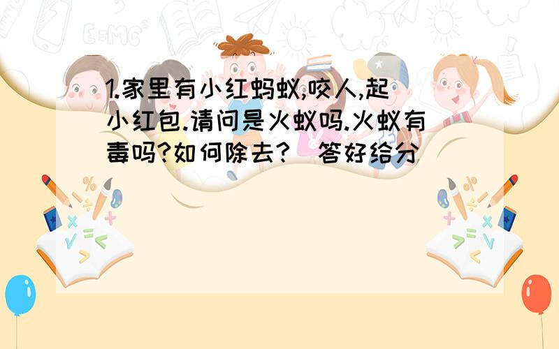 1.家里有小红蚂蚁,咬人,起小红包.请问是火蚁吗.火蚁有毒吗?如何除去?（答好给分）