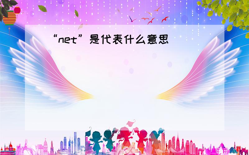 “net”是代表什么意思