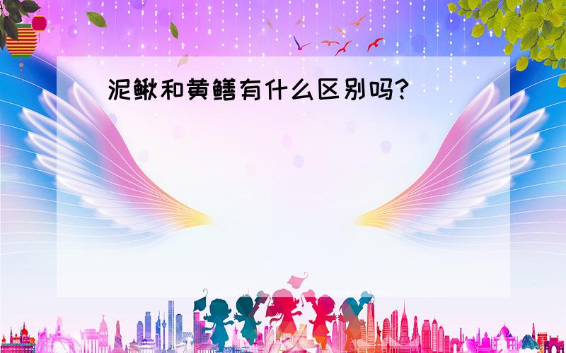 泥鳅和黄鳝有什么区别吗?