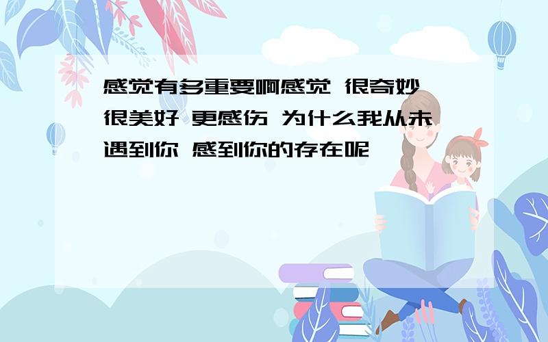 感觉有多重要啊感觉 很奇妙 很美好 更感伤 为什么我从未遇到你 感到你的存在呢