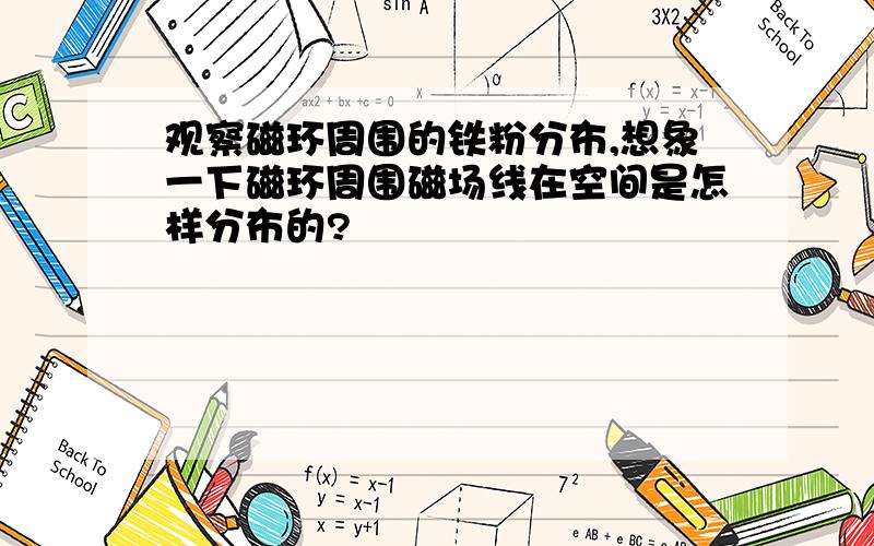 观察磁环周围的铁粉分布,想象一下磁环周围磁场线在空间是怎样分布的?