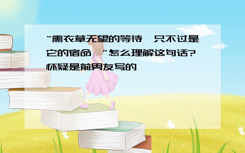 “熏衣草无望的等待,只不过是它的宿命…”怎么理解这句话?怀疑是前男友写的