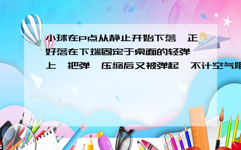 小球在P点从静止开始下落,正好落在下端固定于桌面的轻弹簧上,把弹簧压缩后又被弹起,不计空气阻力,下列结论正确的是 A．小球落到弹簧上后,立即做减速运动B．在题述过程中,小球、弹簧、