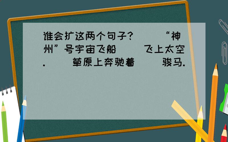 谁会扩这两个句子?（ ）“神州”号宇宙飞船（ ）飞上太空.（ ）草原上奔驰着（ ）骏马.