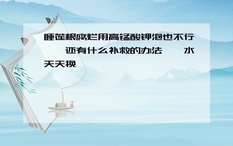 睡莲根腐烂用高锰酸钾泡也不行……还有什么补救的办法……水天天换