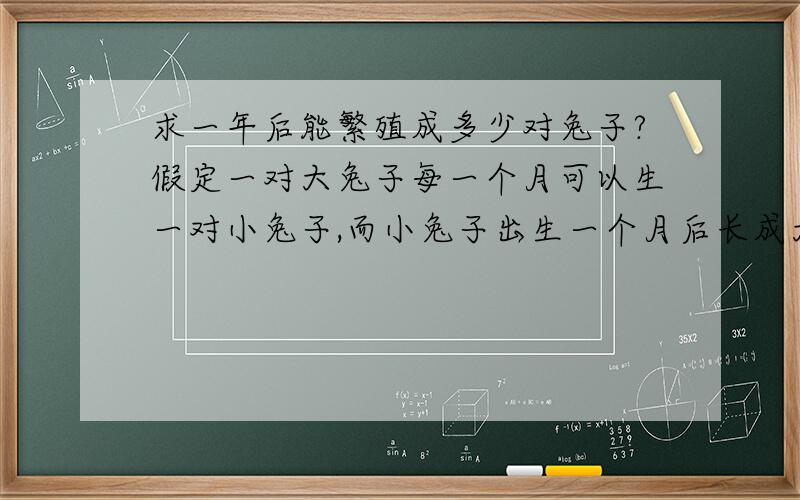 求一年后能繁殖成多少对兔子?假定一对大兔子每一个月可以生一对小兔子,而小兔子出生一个月后长成大兔子.问从一对小兔子开始,一年后能繁殖成多少对兔子?