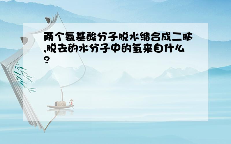 两个氨基酸分子脱水缩合成二肽,脱去的水分子中的氢来自什么?